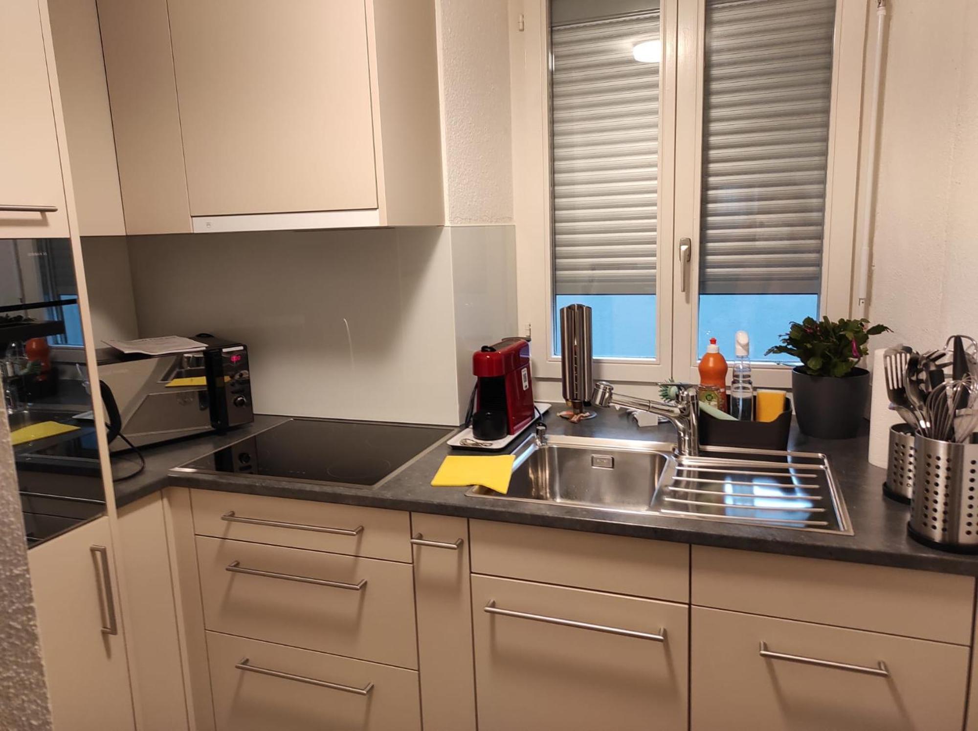 Bastis Family Apartment Люцерн Экстерьер фото